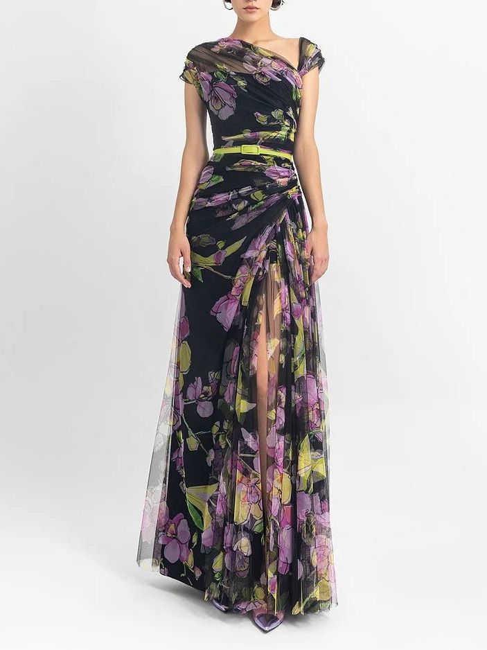 Pleated Slim Mesh Printed Long Dress