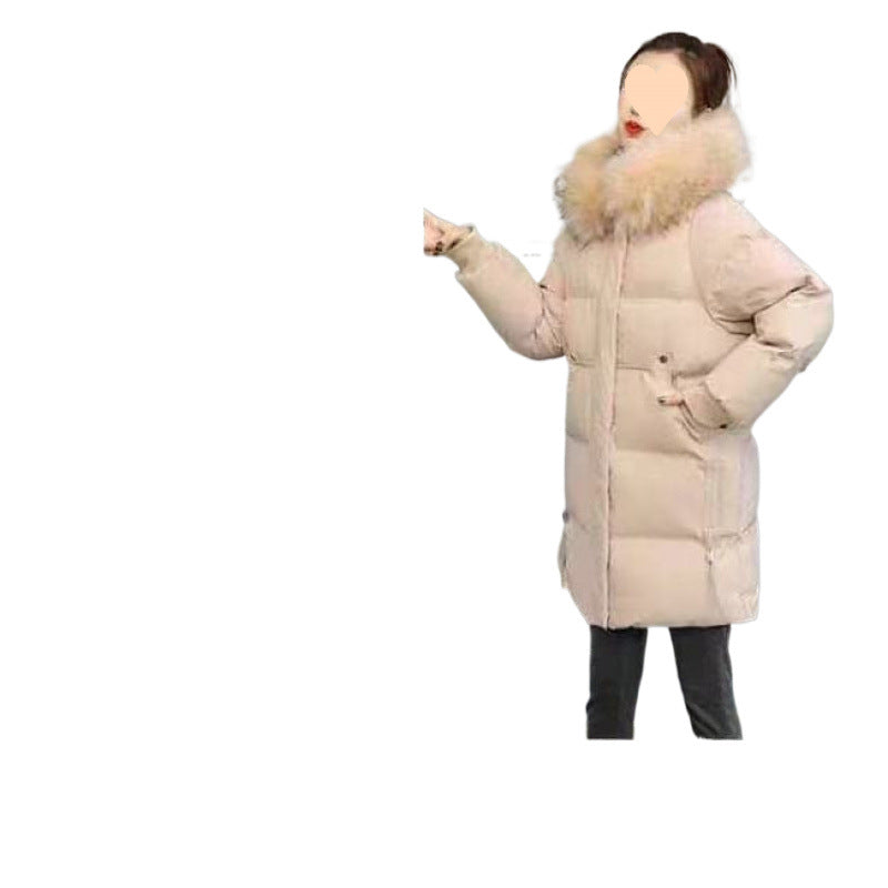 a2a6767c9f3753ed6ef2e79b42be55b0
