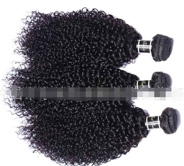 Live Export Wig - Malaysia Hair Extensions