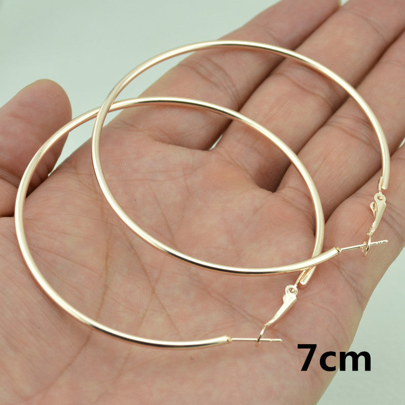 Rose Gold Hoop Earrings