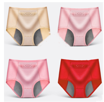 Leak-Proof Menstrual Period Breathable Triangle Health Pants - 4 Pairs of Underwear