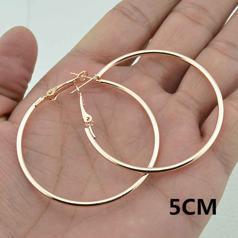 Rose Gold Hoop Earrings