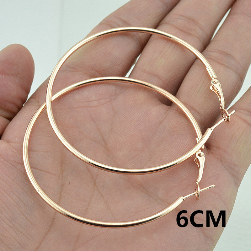 Rose Gold Hoop Earrings