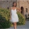 Tassel Sequins Feather Mini Dress