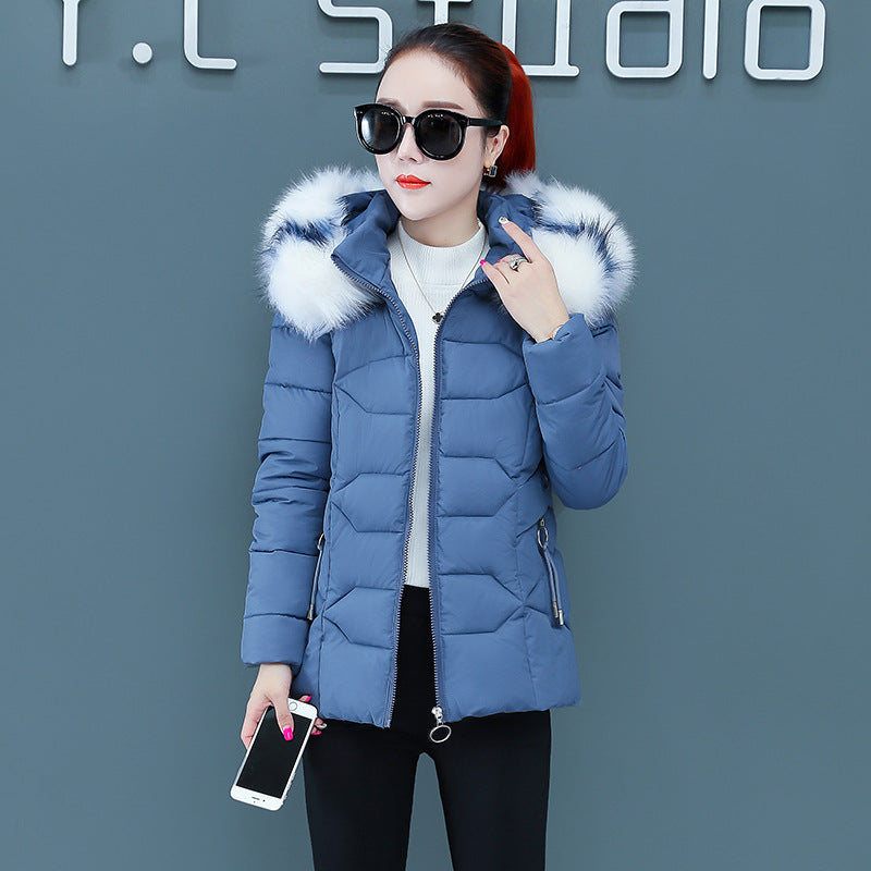 eaa48c4c11c28d0fab92ca58fd60735