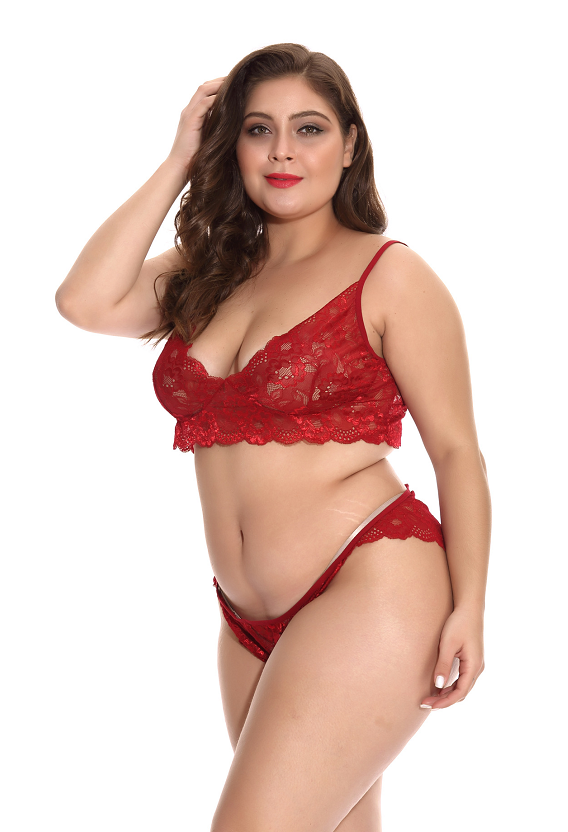 Red Sexy Lingerie