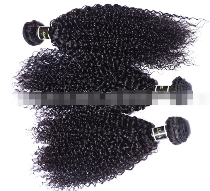 Live Export Wig - Malaysia Hair Extensions