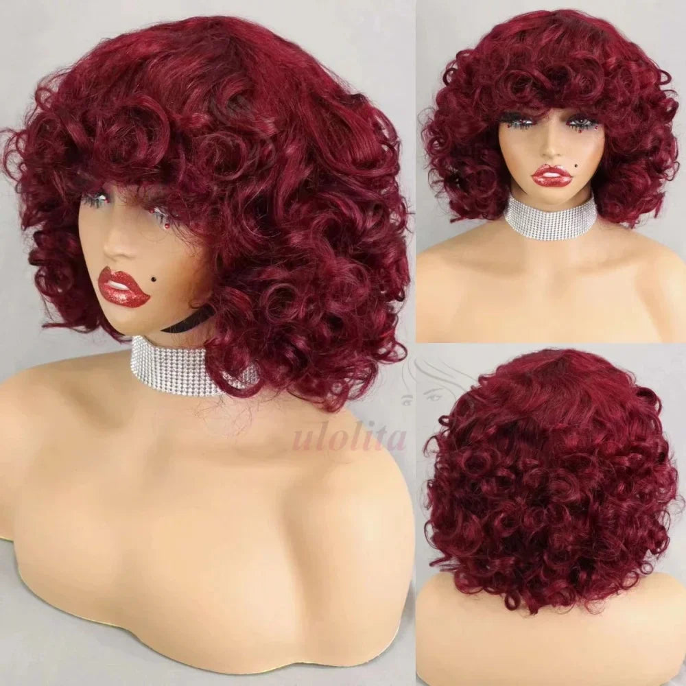 Egg Curls Human Hair Wig With Bangs