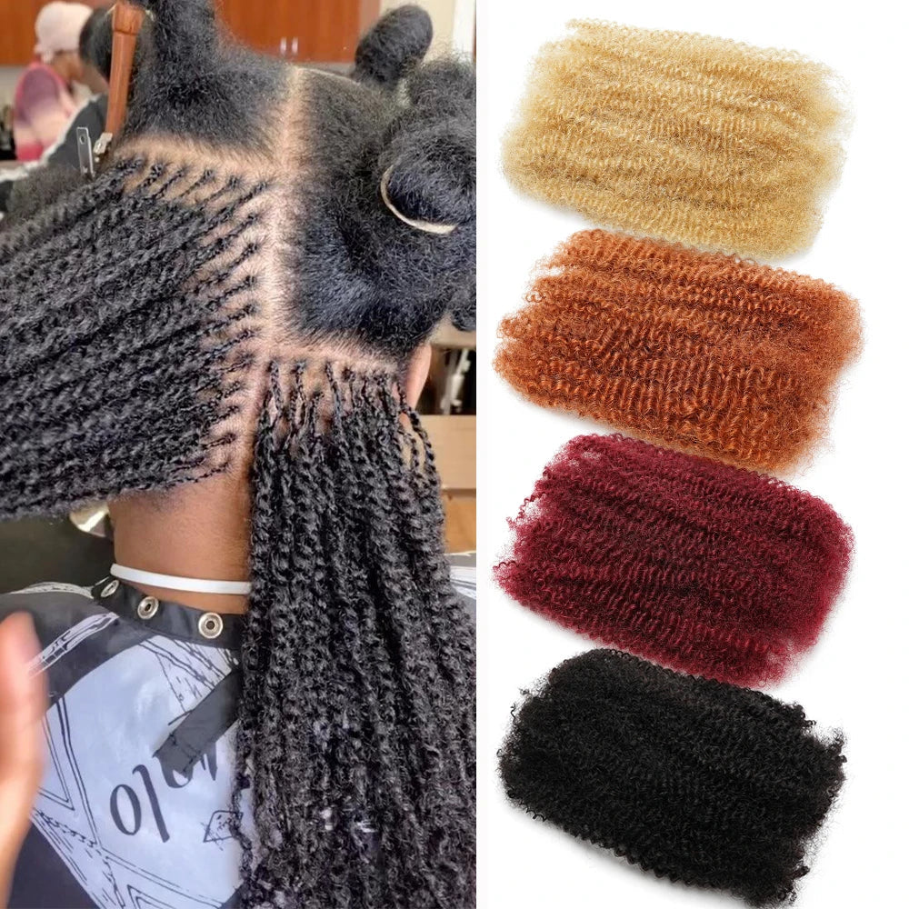 Kinky Curly Brazilian Human Hair