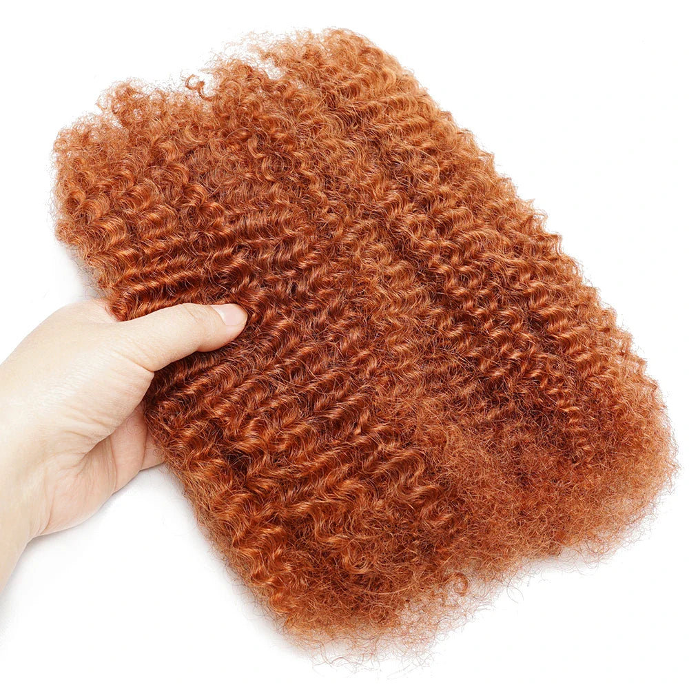 Kinky Curly Brazilian Human Hair