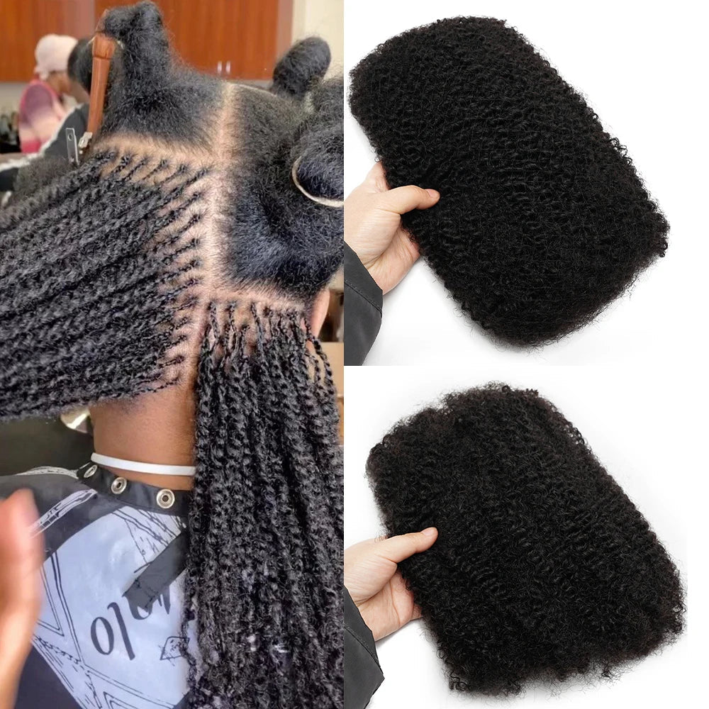 Kinky Curly Brazilian Human Hair