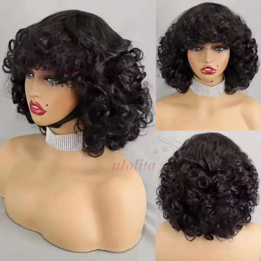 Egg Curls Human Hair Wig With Bangs