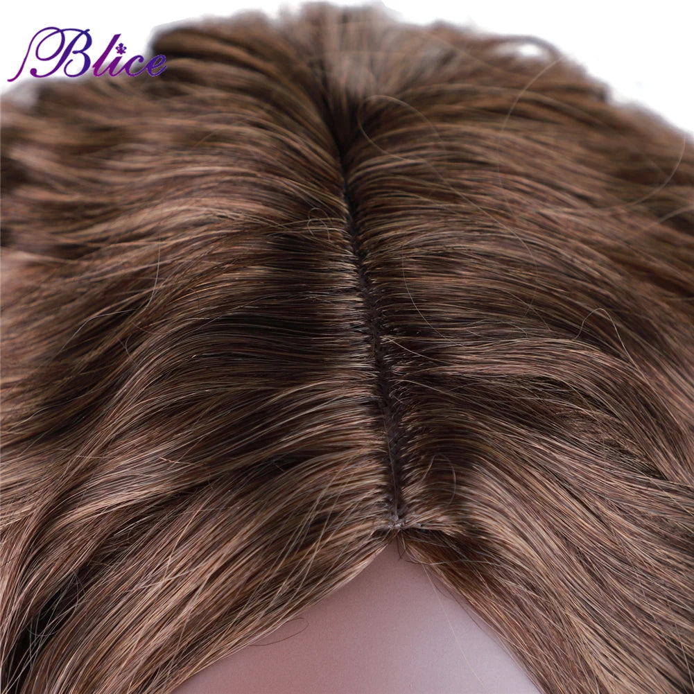 Blice Synthetic Wig Curly Hair Extensions Omber  Middle Part Women‘s Daily Wig Natural Hair Line Blonde Color Without Bang