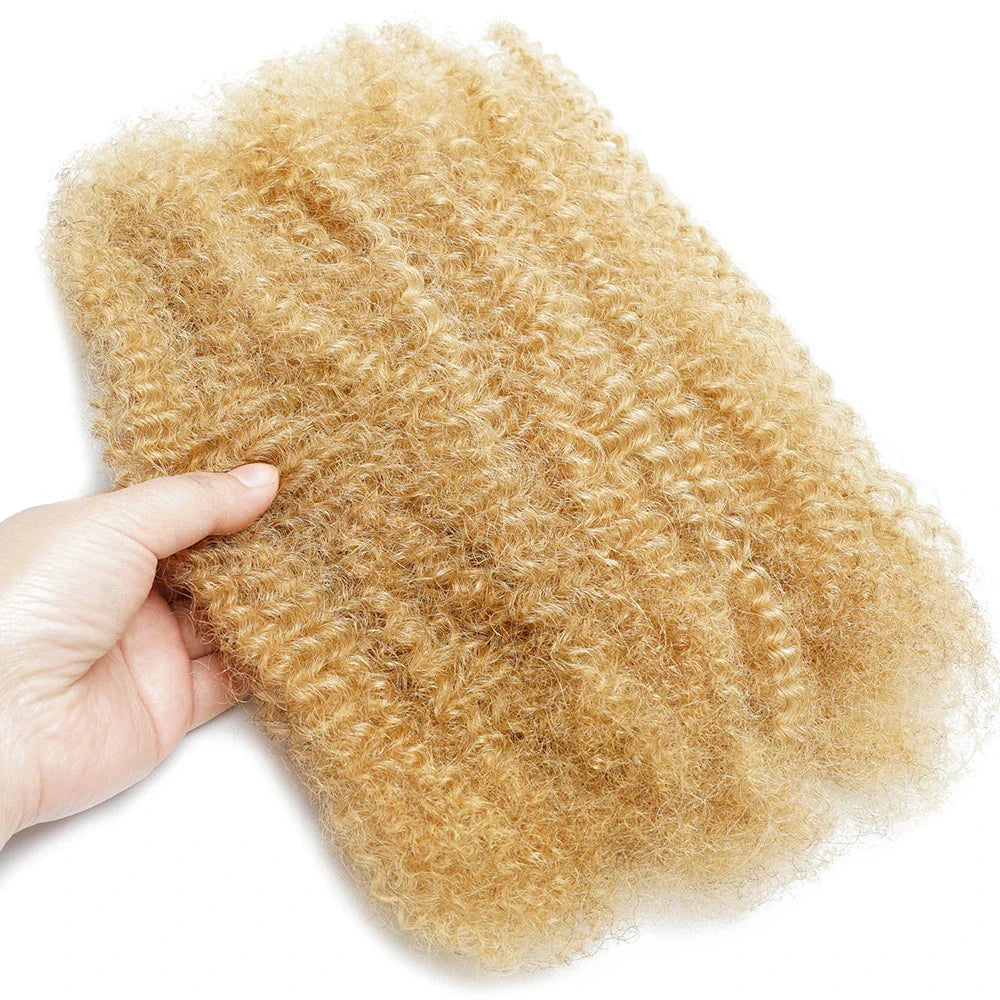 Kinky Curly Brazilian Human Hair