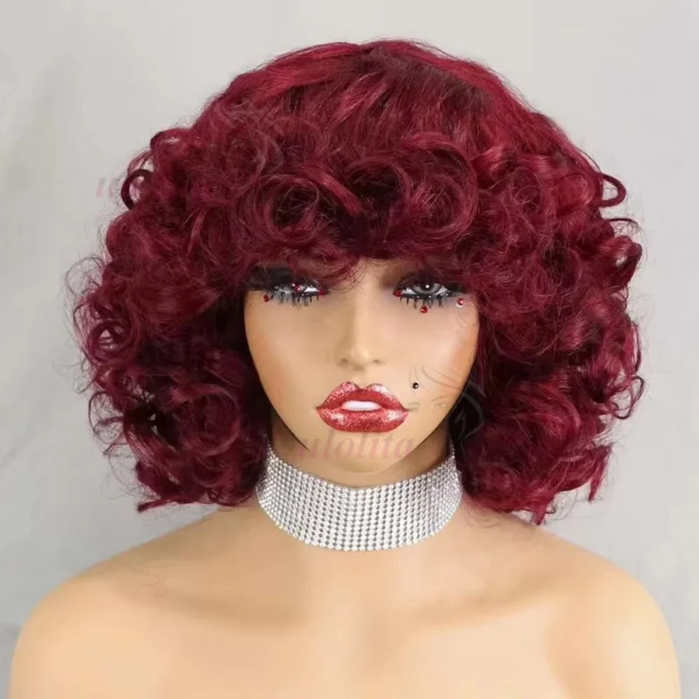Egg Curls Human Hair Wig With Bangs