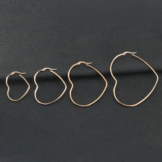 Titanium Heart Hoop Earrings For Women