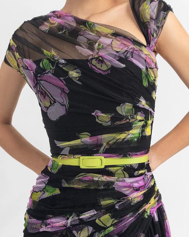 Pleated Slim Mesh Printed Long Dress
