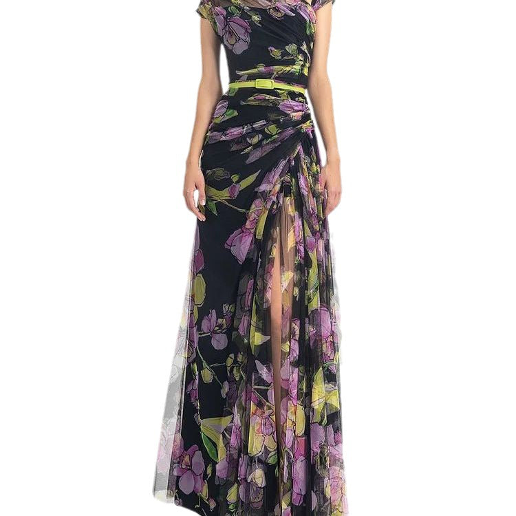 Pleated Slim Mesh Printed Long Dress